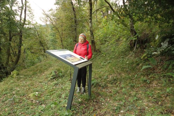 Pot v gozdu na Ajdovski gradec sčlovekom v ospredju.